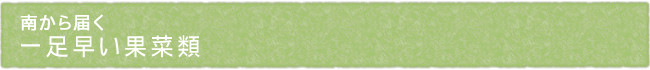12-208-ttl01