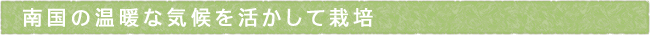 12-208-ttls01