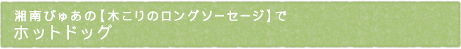 12-216-ttl01