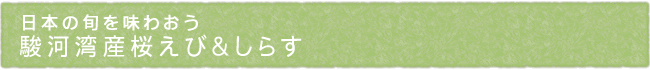12-221-ttl01