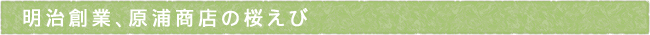 12-221-ttls01