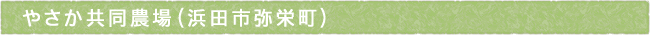 12-223-ttls02