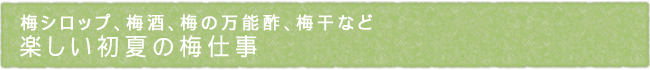 12-225-ttl01
