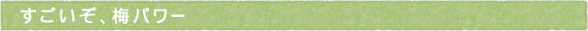 12-225-ttls01