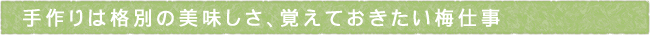 12-225-ttls02