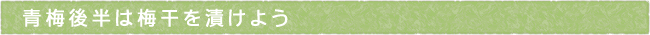 12-225-ttls03