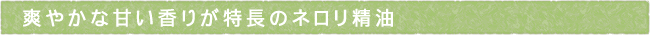 12-226-ttls01
