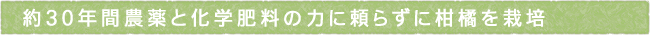 12-226-ttls02