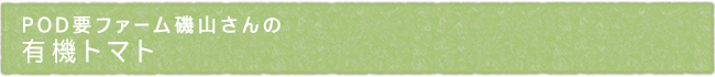 12-227-ttl01