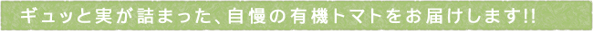 12-227-ttls01