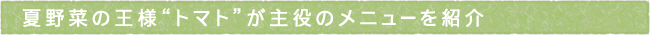 12-227-ttls02
