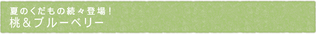 12-228-ttl01