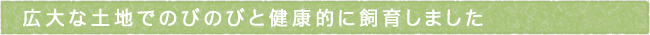 12-230-ttls02