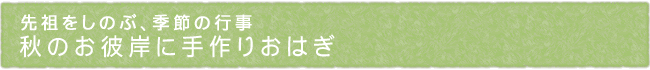 12-237-ttl01