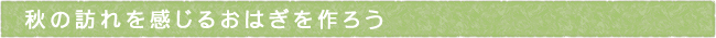12-237-ttls01