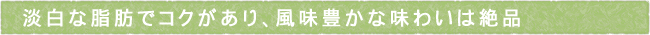 12-239-ttls03