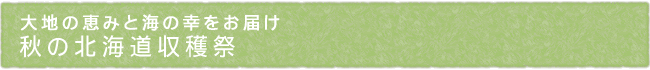 12-241-ttl01