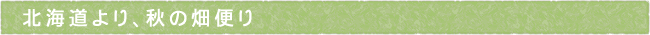 12-241-ttls02
