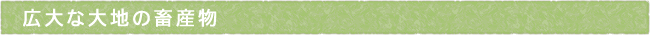 12-241-ttls04