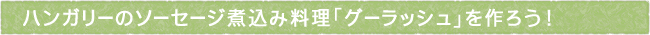 12-242-ttls01
