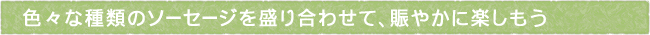 12-242-ttls02