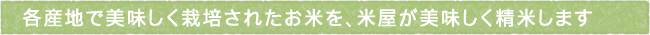12-244-ttls01