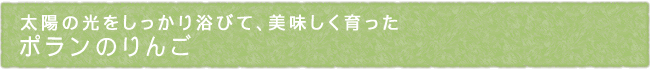 12-246-ttl01