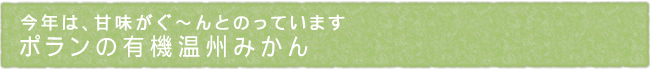 12-247-ttl01