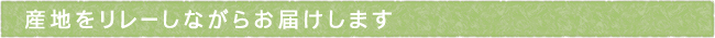 12-247-ttls01