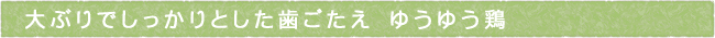 12-250-ttls01