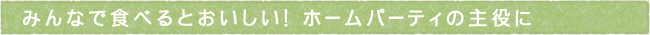 12-251-ttls01