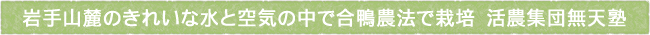 13-238-ttls02