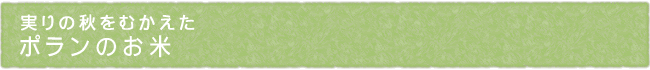 13-247-ttl01