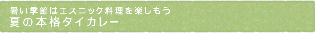 14-229-ttl01