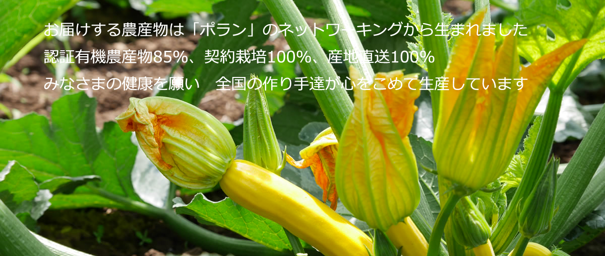 takuhai_t