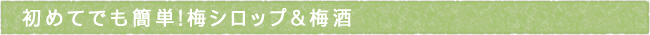 初めてでも簡単！梅シロップ＆梅酒