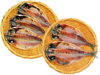 橘水産真あじ干物セット