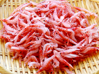 生桜えび