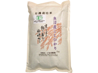 魚沼産こしひかり