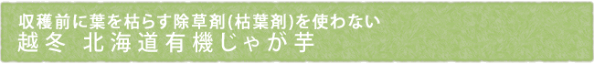 収穫前に葉を枯らす除草剤(枯葉剤)を使わない　完熟・越冬 北海道有機じゃが芋