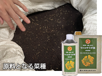 圧搾一番しぼりなたねサラダ油