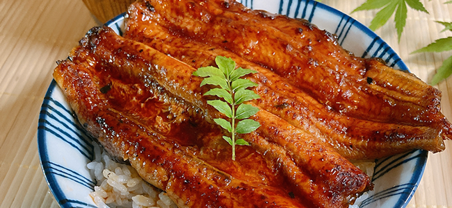 四万十川の稚魚から、蒲焼までの一貫生産 加持養鰻場の純国産うなぎ